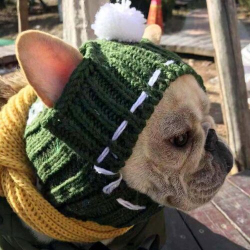 warm woolen hat for pets